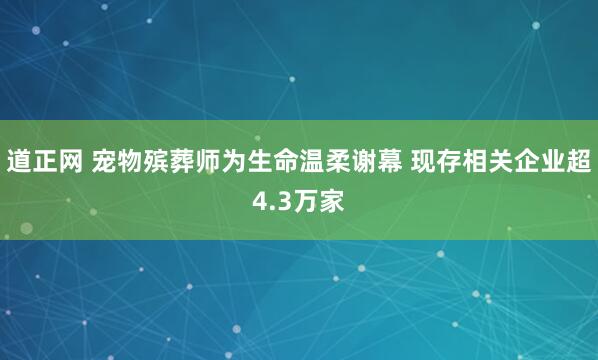 道正网 宠物殡葬师为生命温柔谢幕 现存相关企业超4.3万家