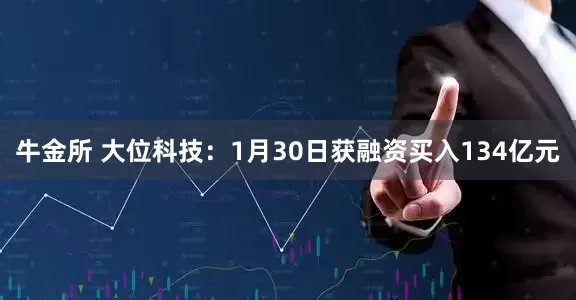 牛金所 大位科技：1月30日获融资买入134亿元